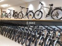 Richmond e-bike Ltd. image 4